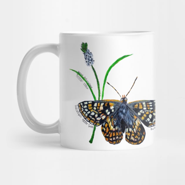 Endangered Quino Checkerspot Butterfly by Animal Surrealism